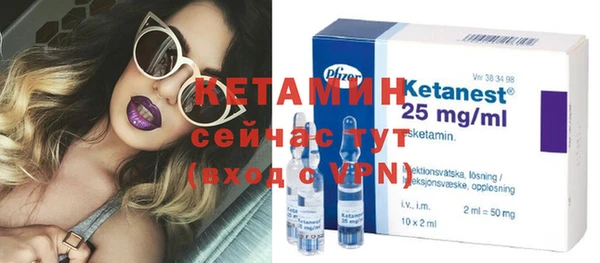 стаф Богданович