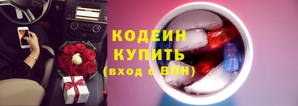 дживик Богородск