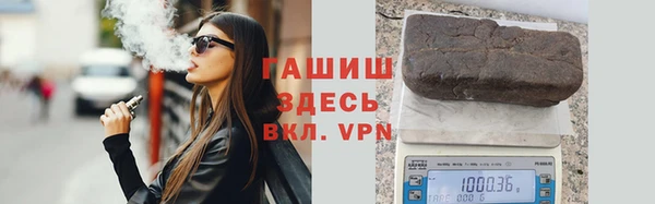 стаф Богданович