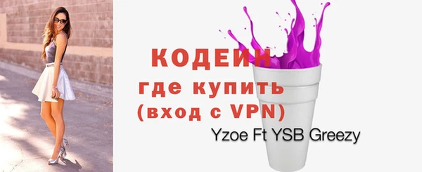 дживик Богородск