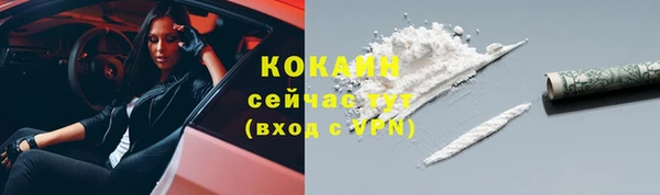 стаф Богданович