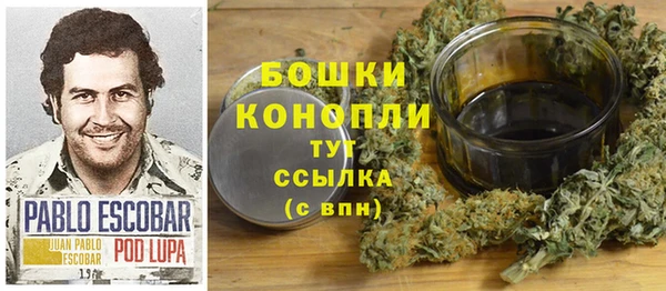 бошки Белокуриха