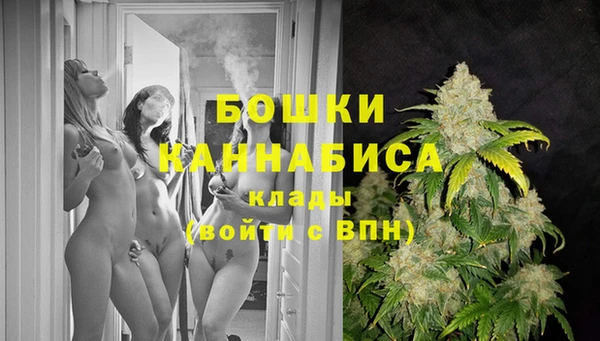 стаф Богданович