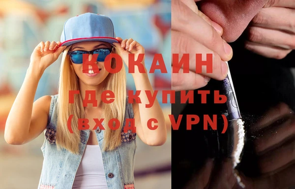 дживик Бронницы