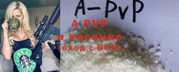 стаф Богданович