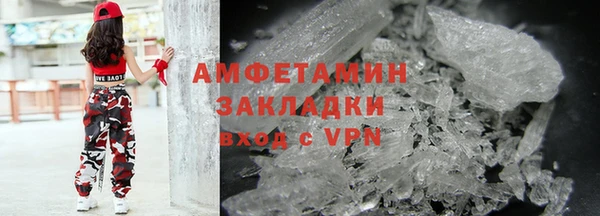 стаф Богданович